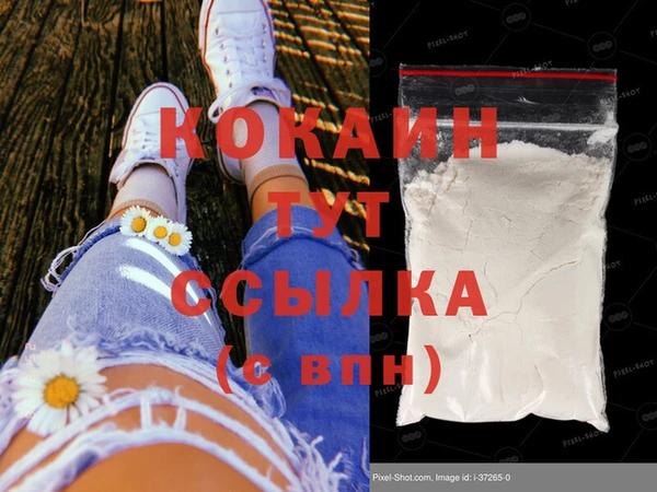 прущие грибы Нягань