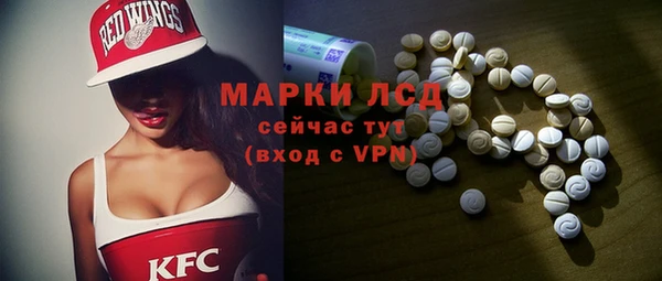винт Алзамай