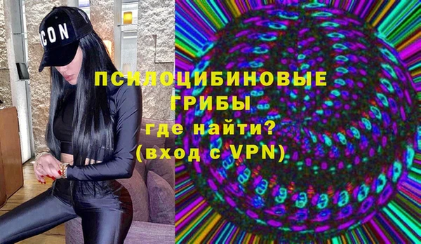 МДПВ Алексин