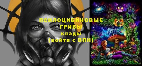 МДПВ Алексин