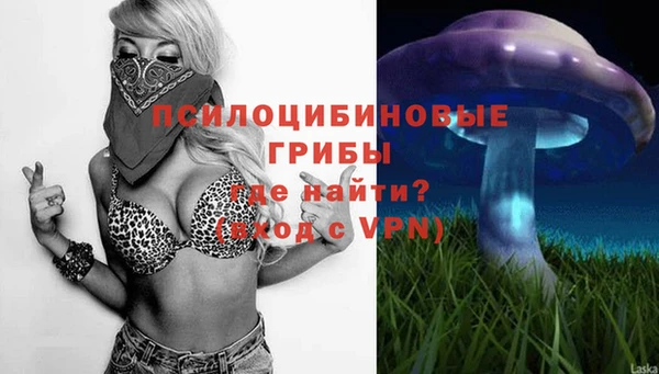 винт Алзамай