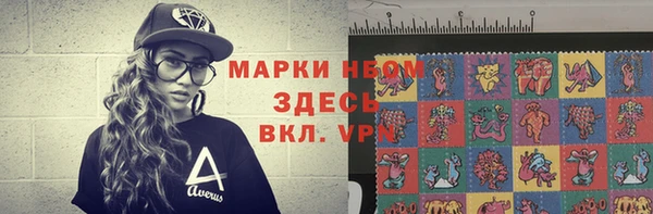 прущие грибы Нягань