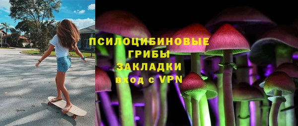 винт Алзамай