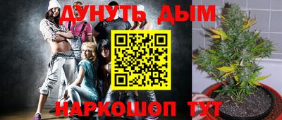 ALPHA PVP Малгобек