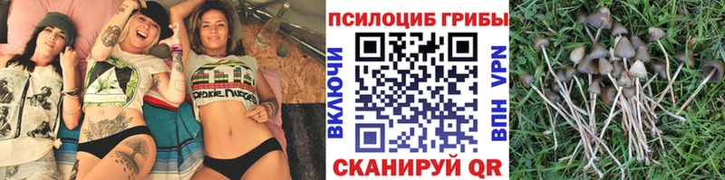 гидра маркетплейс  Брянск  Галлюциногенные грибы мухоморы 