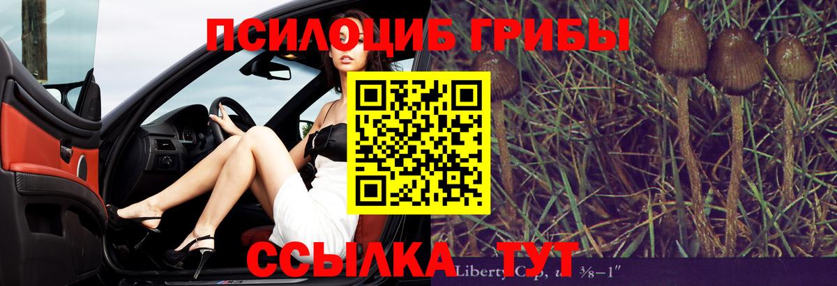 Галлюциногенные грибы мухоморы  Вход с VPN  Псилоцибиновые грибы Psilocybe  Брянск 